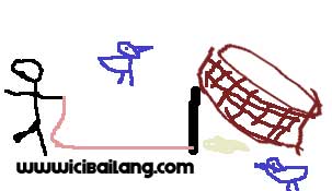 Bird Catching