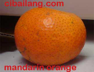 Mandarin Orange