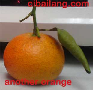 ORange  2