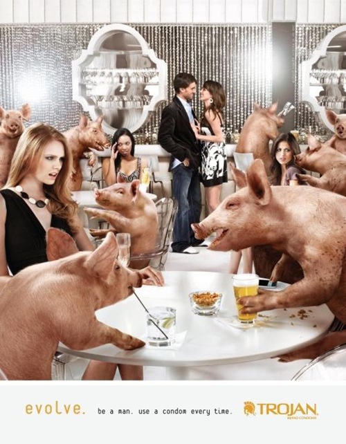 pig as human