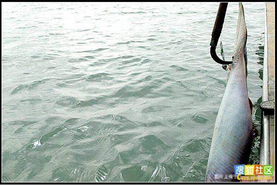 sea
