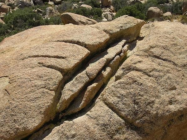 nature_sex_symbols_04