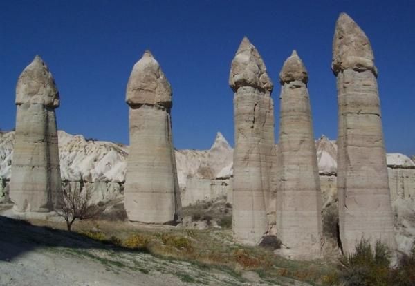 nature_sex_symbols_06