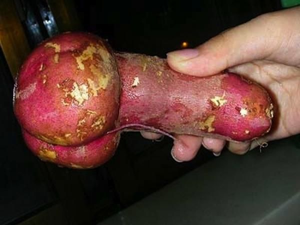 nature_sex_symbols_08
