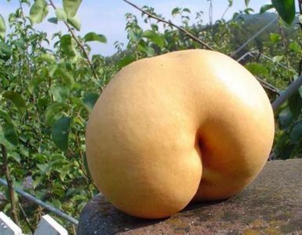 nature_sex_symbols_09