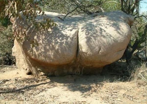 nature_sex_symbols_15