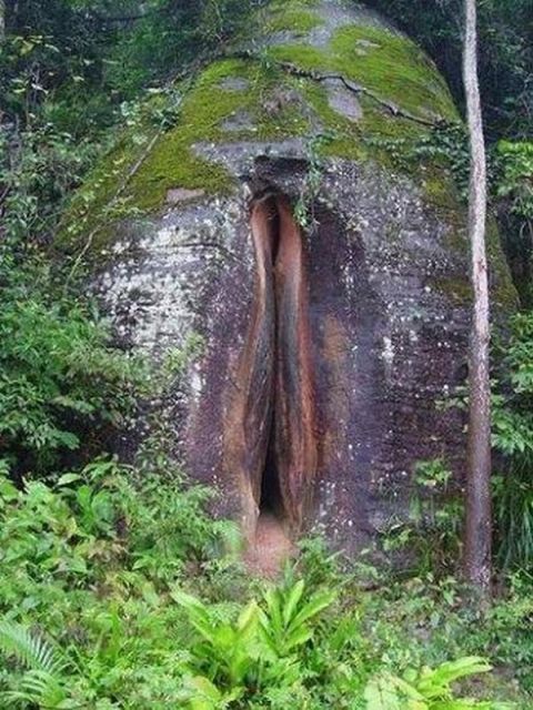 nature_sex_symbols_18